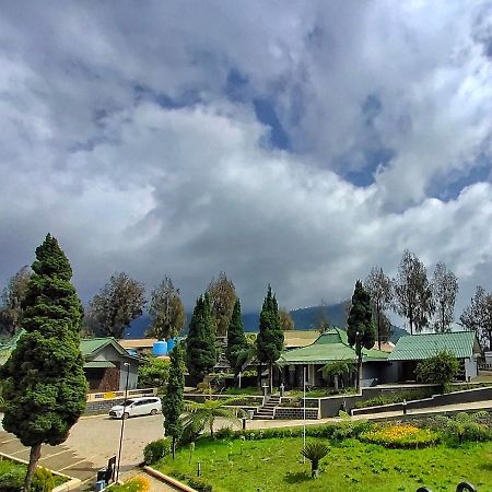 Hotel Bromo Permai 1 Esterno foto