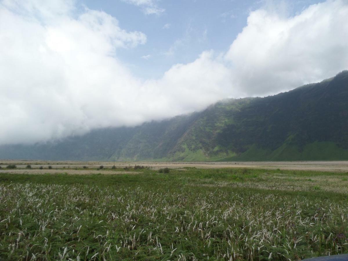Hotel Bromo Permai 1 Esterno foto