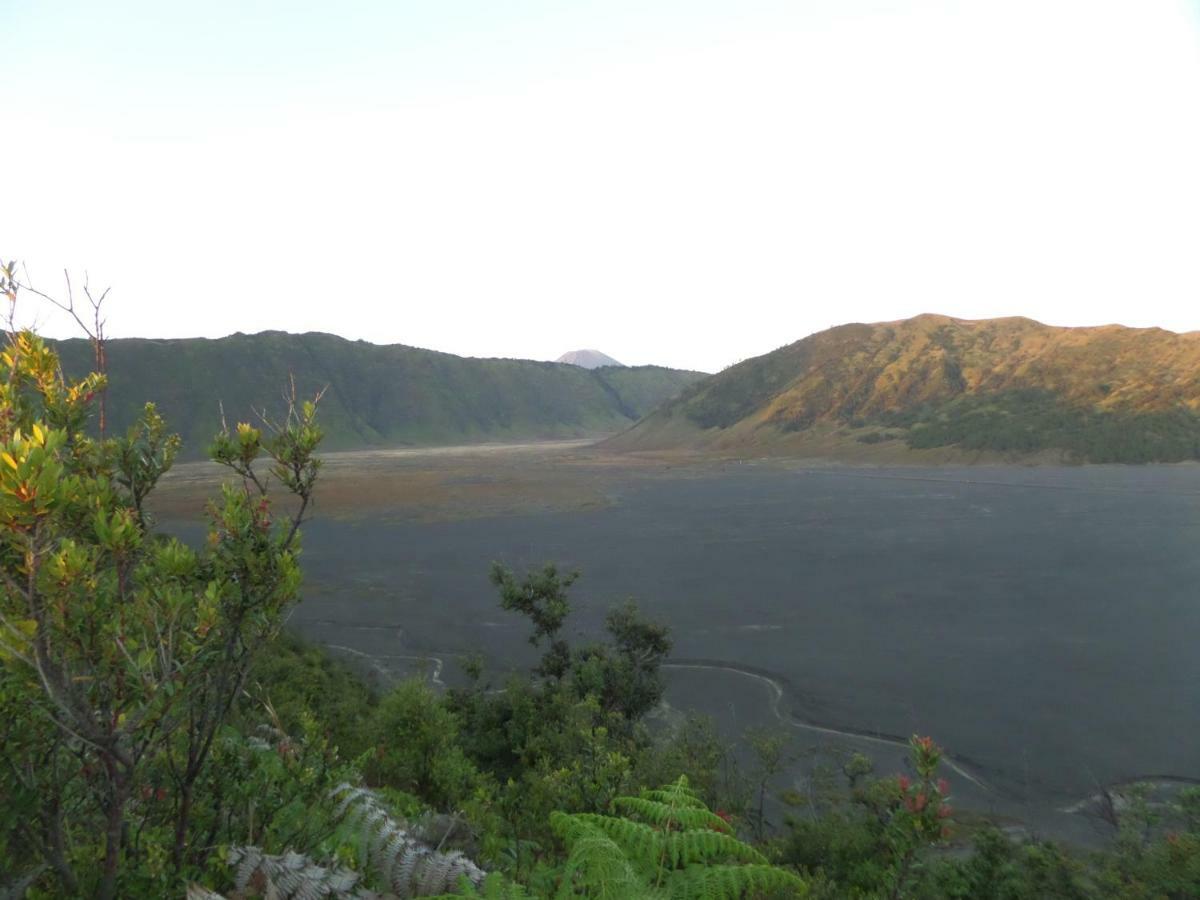 Hotel Bromo Permai 1 Esterno foto