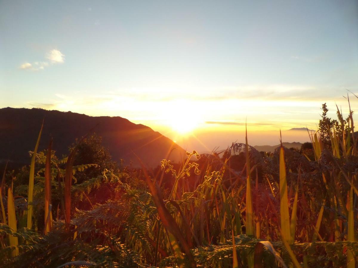 Hotel Bromo Permai 1 Esterno foto